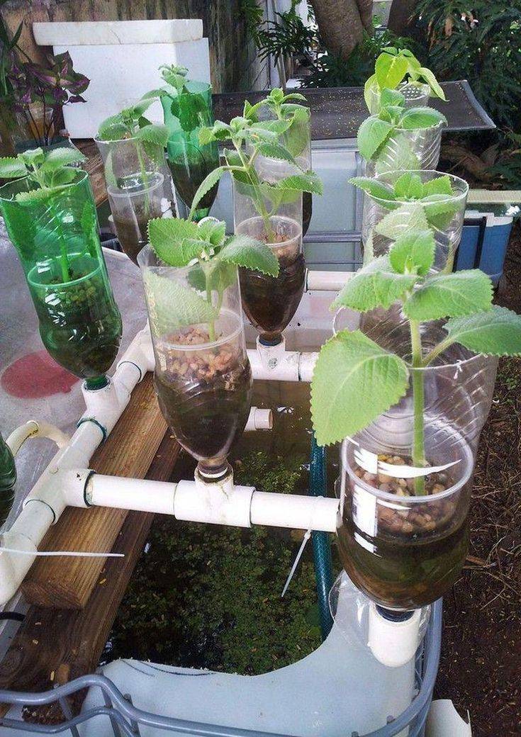 Great Hydroponics Garden Ideas Httpsmodernhousemagzcom