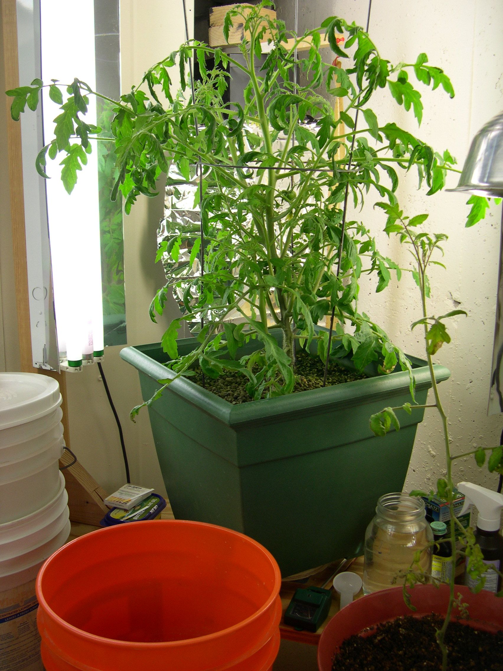 Indoor Gardening Hydroponic Growing Food