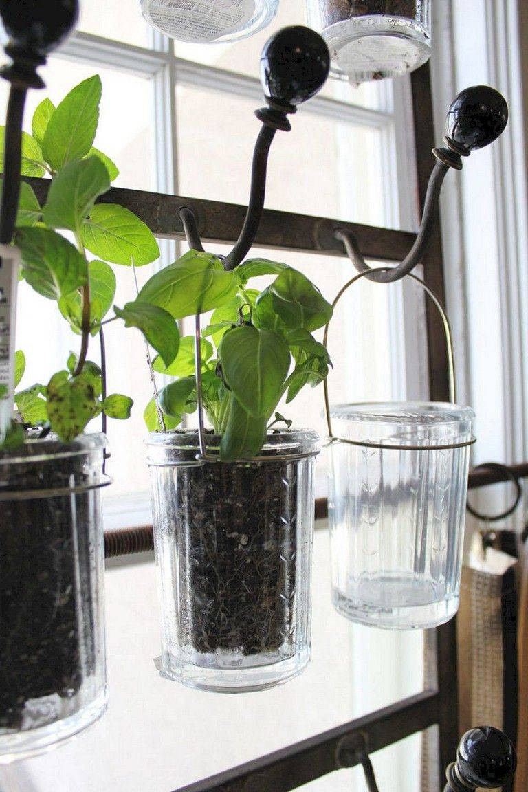 Simple Hydroponic Garden Ideas
