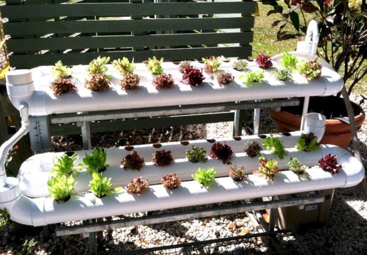 Favourite Vegetable Hydroponic Garden Ideas