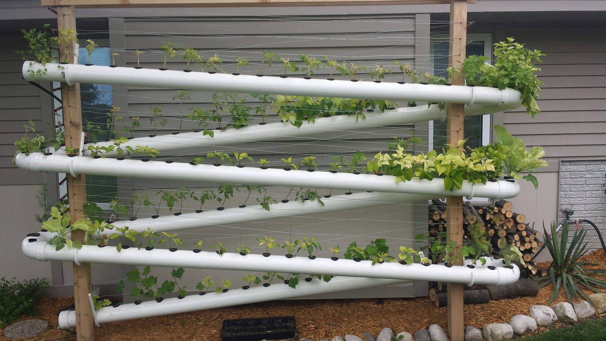 Favourite Vegetable Hydroponic Garden Ideas