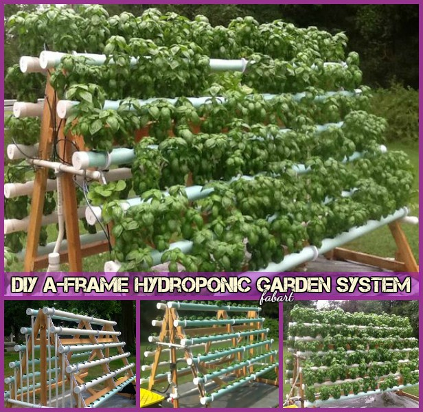 Bed Aquaponic Gardening Diy Greenhouse
