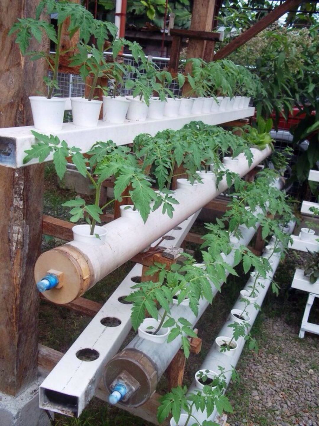 Vertical Hydroponic Gardening Setup Ideas Advantages