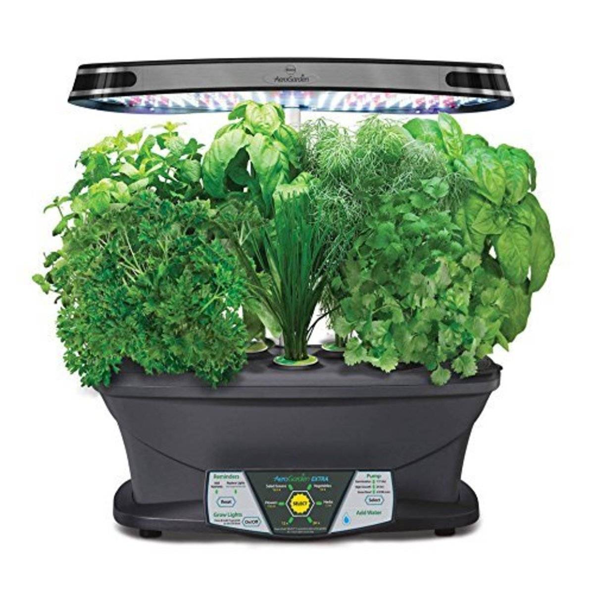 Useful Aerogarden Planting Tips