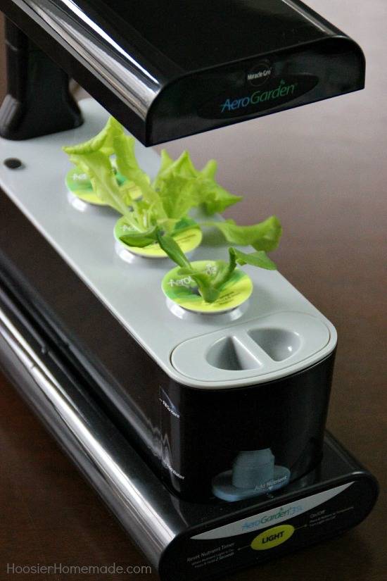 Aerogarden Pod Garden Appliances Small Kitchen Appliances
