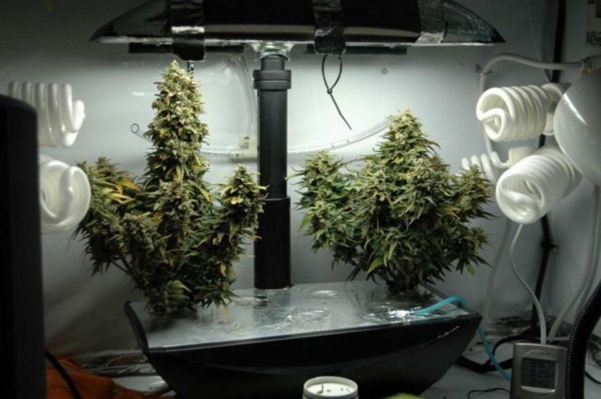 Aerogarden Farm Xl