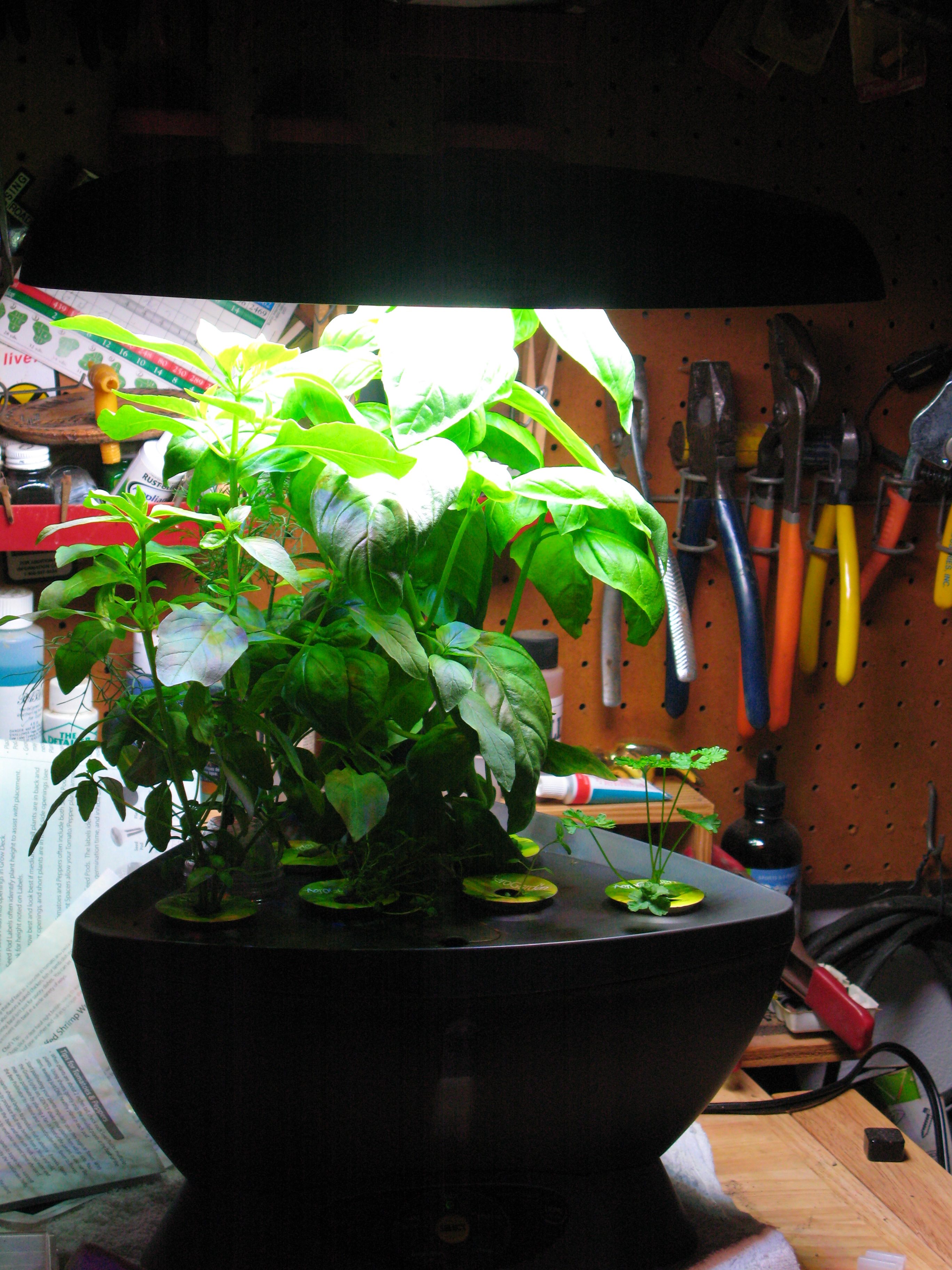 Hydroponic Growing
