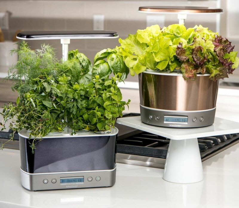 Aerogarden Starter Kit