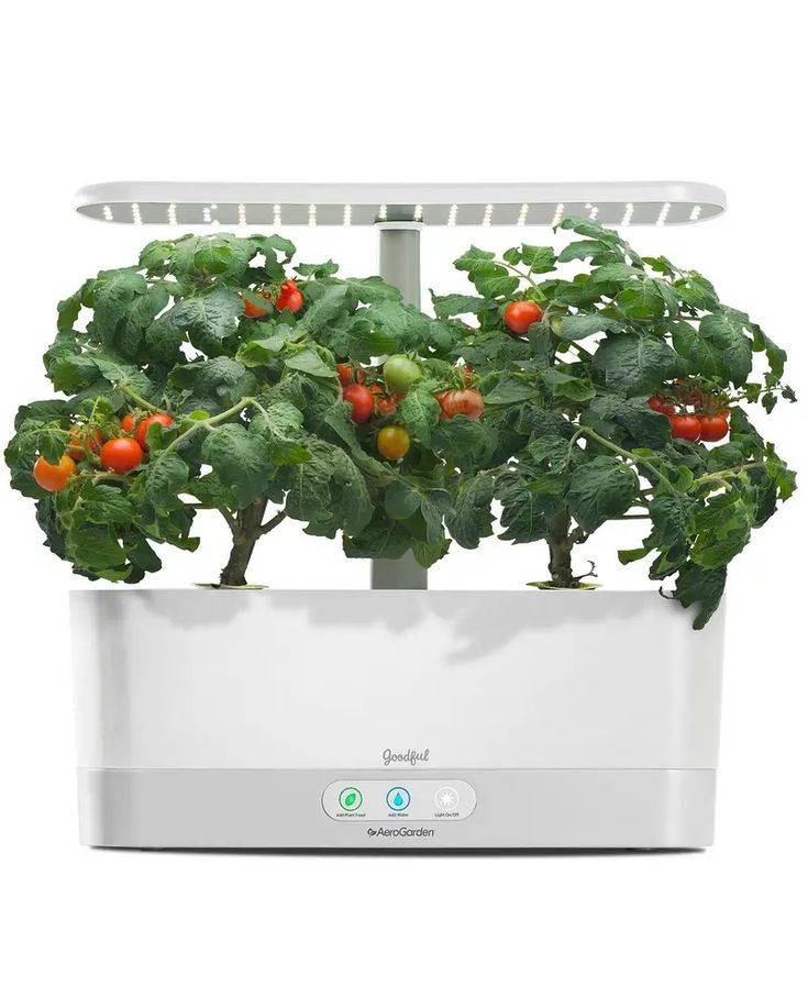 Hydroponic Gardening Aerogarden Bounty
