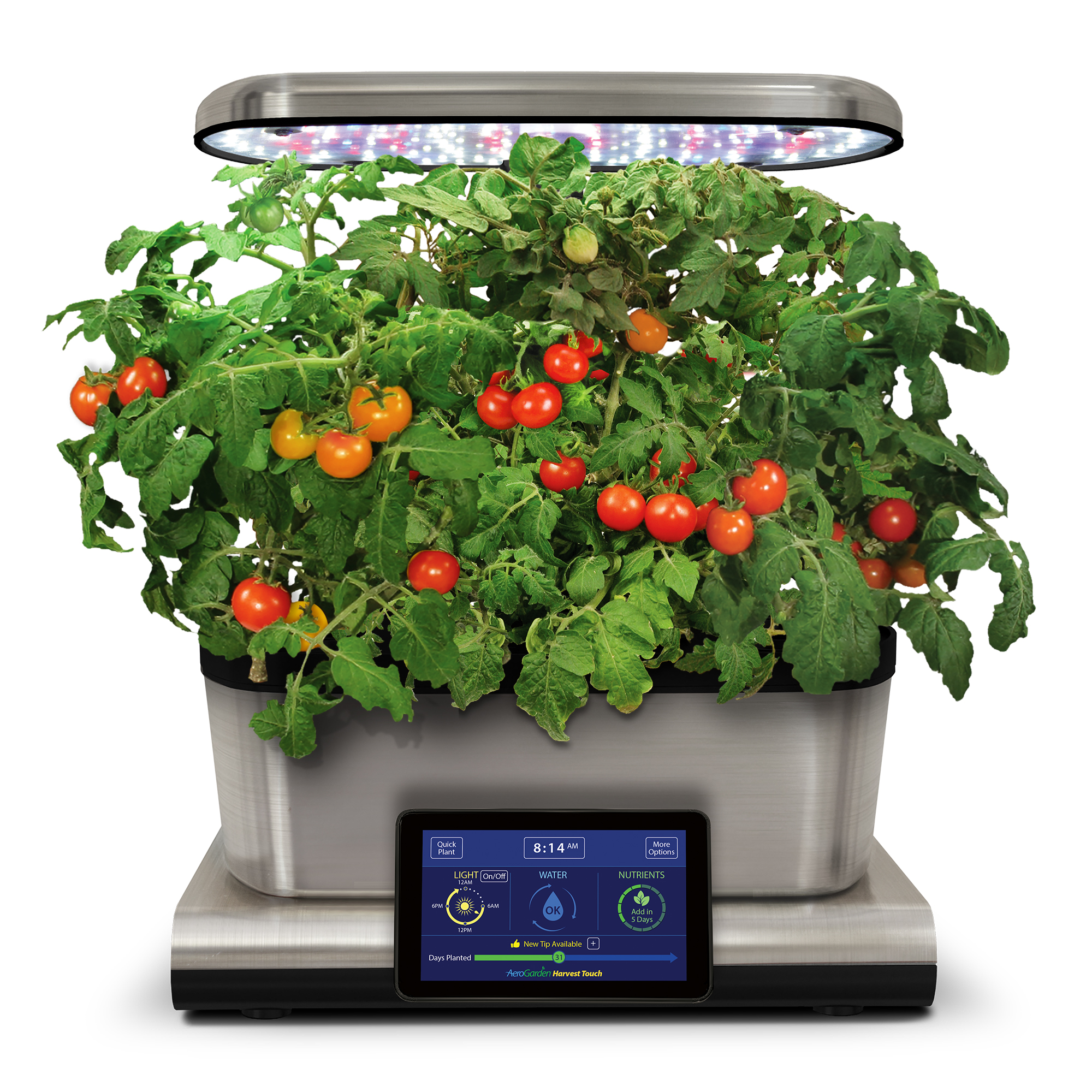 Your Own Aerogarden Rona Mantar