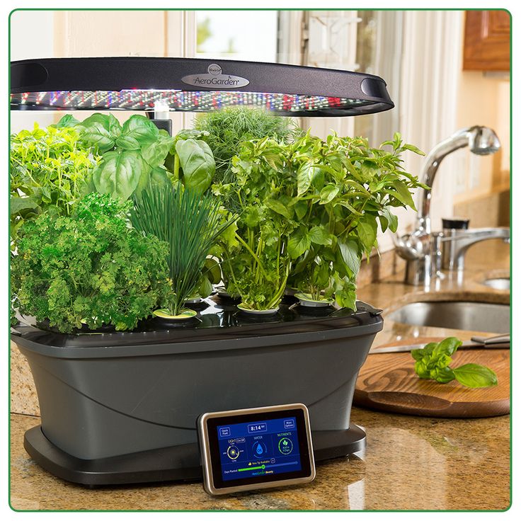 My Old Aerogarden