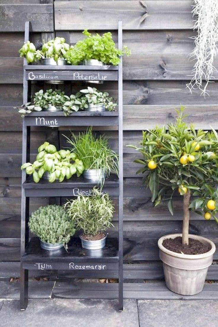Easy Indoor Herb Garden Ideas