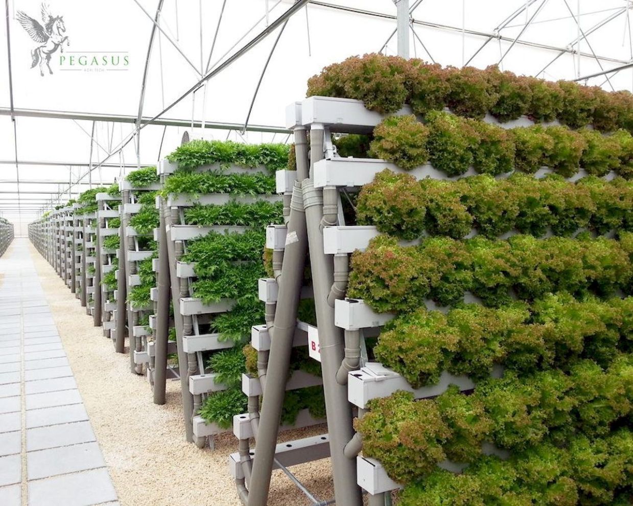 Just Another Wordpress Site Vertical Herb Garden