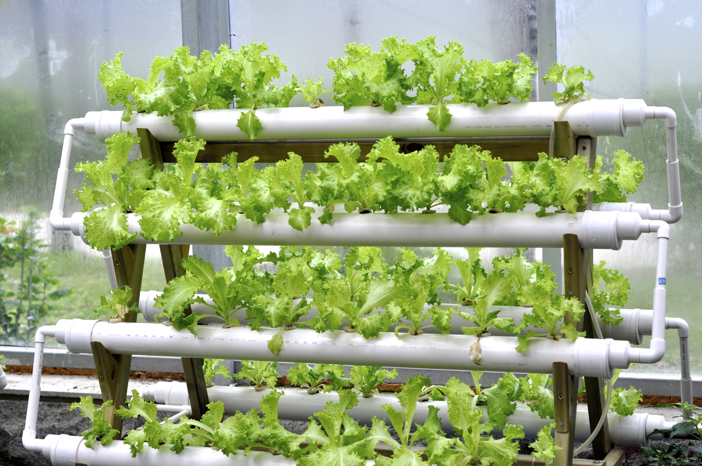 Easy Hydroponic Garden Ideas