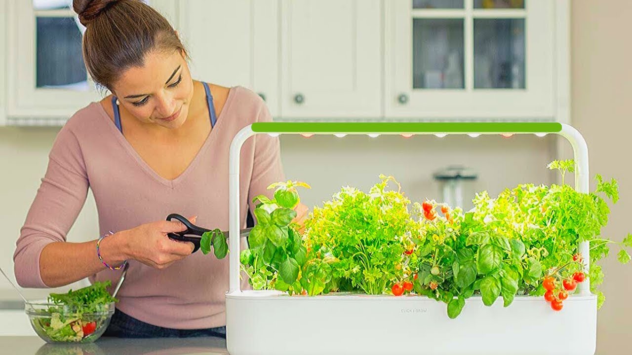 Simple Hydroponic Garden Ideas