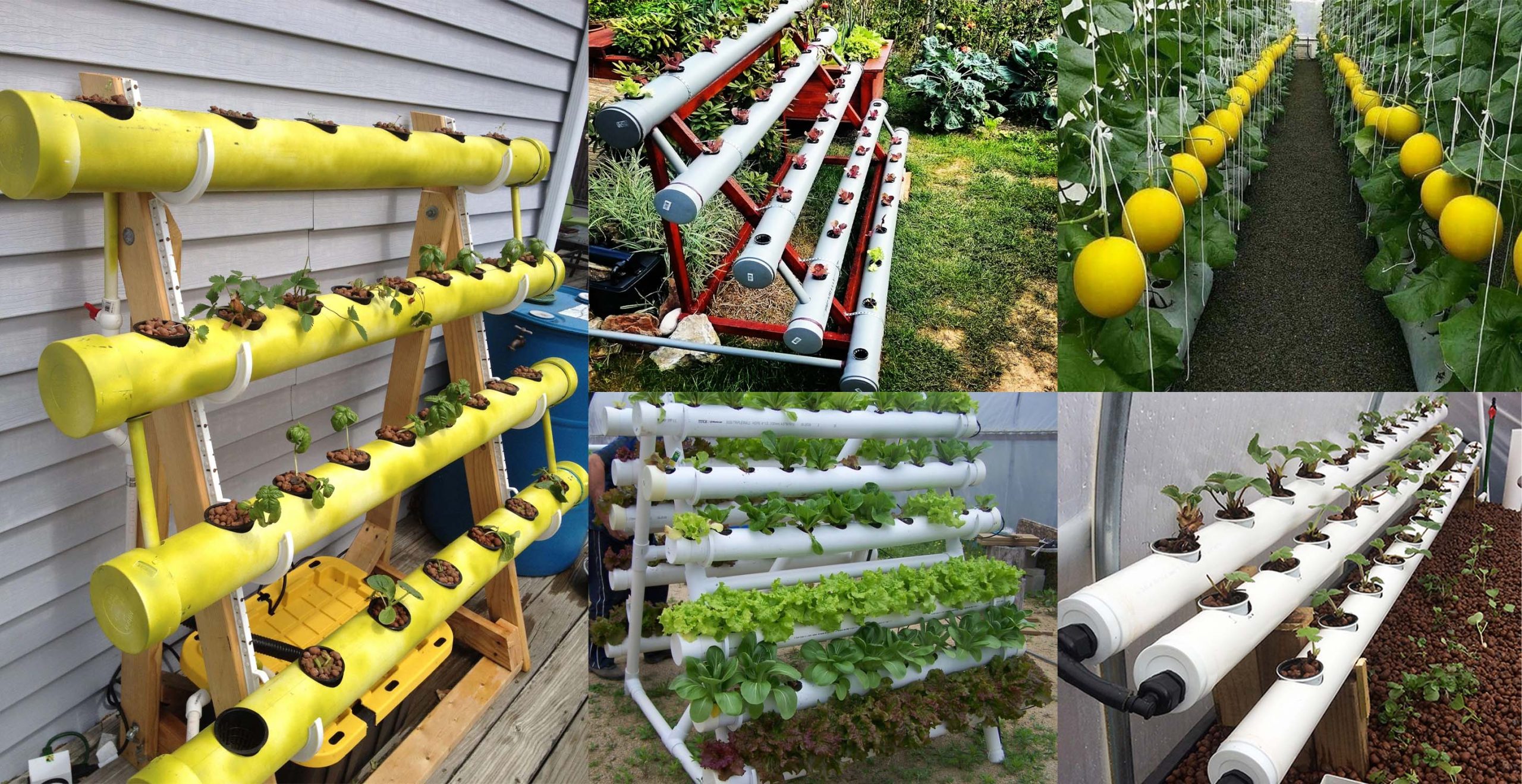 Home Hydroponic Gardening Systems Reviews Easy Hydro Se