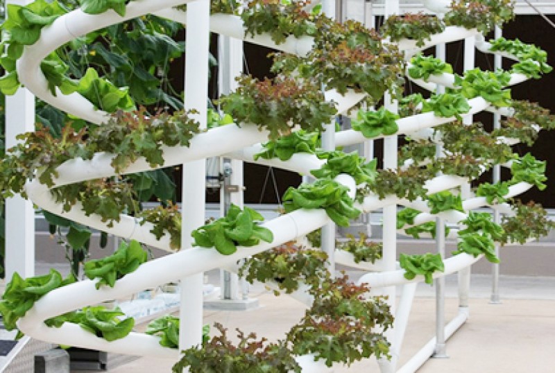 Nice Top Hydroponic Garden Ideas