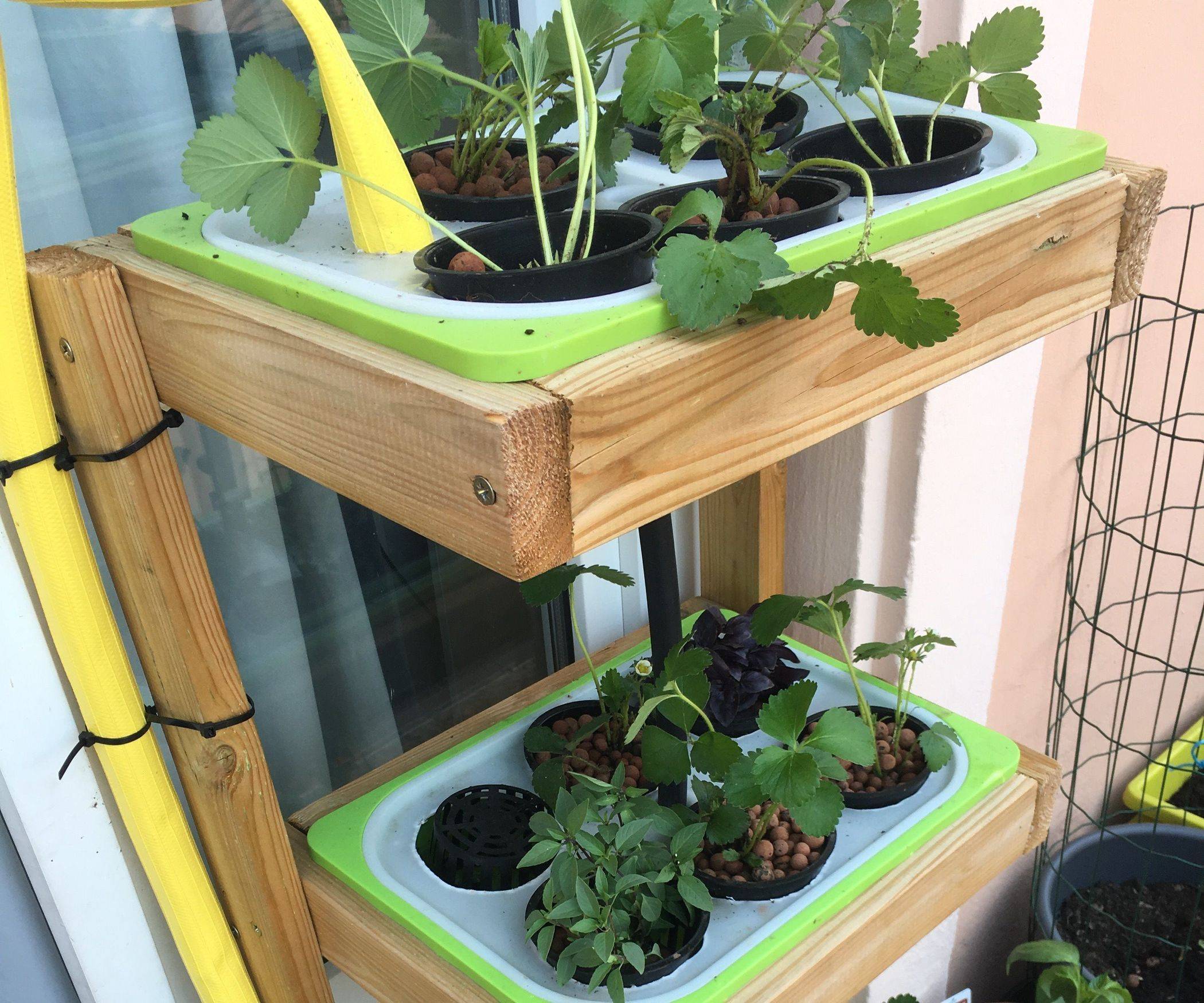 Simple Hydroponic Garden Ideas