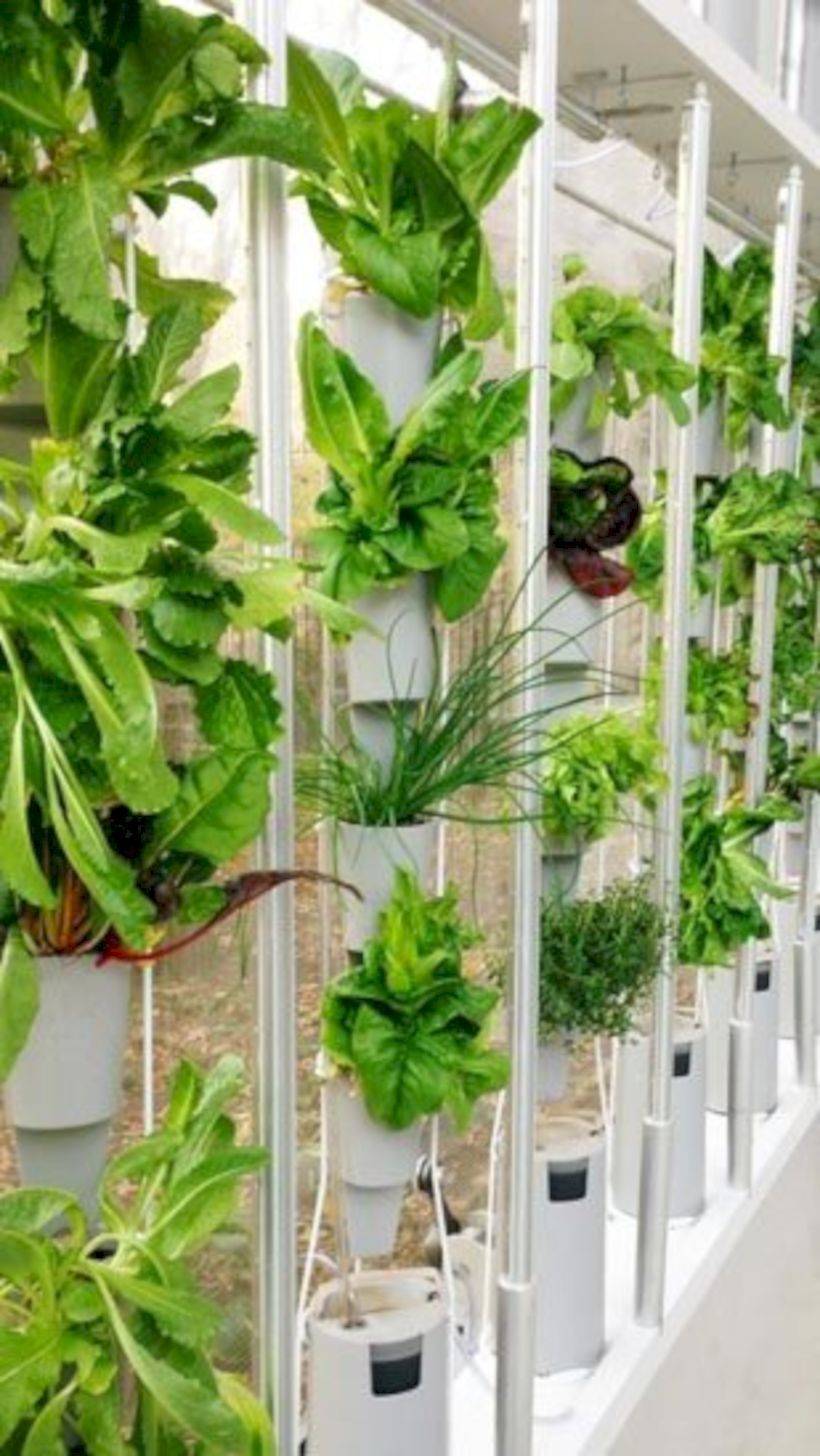 Vertical Hydroponics Gardening Ideas