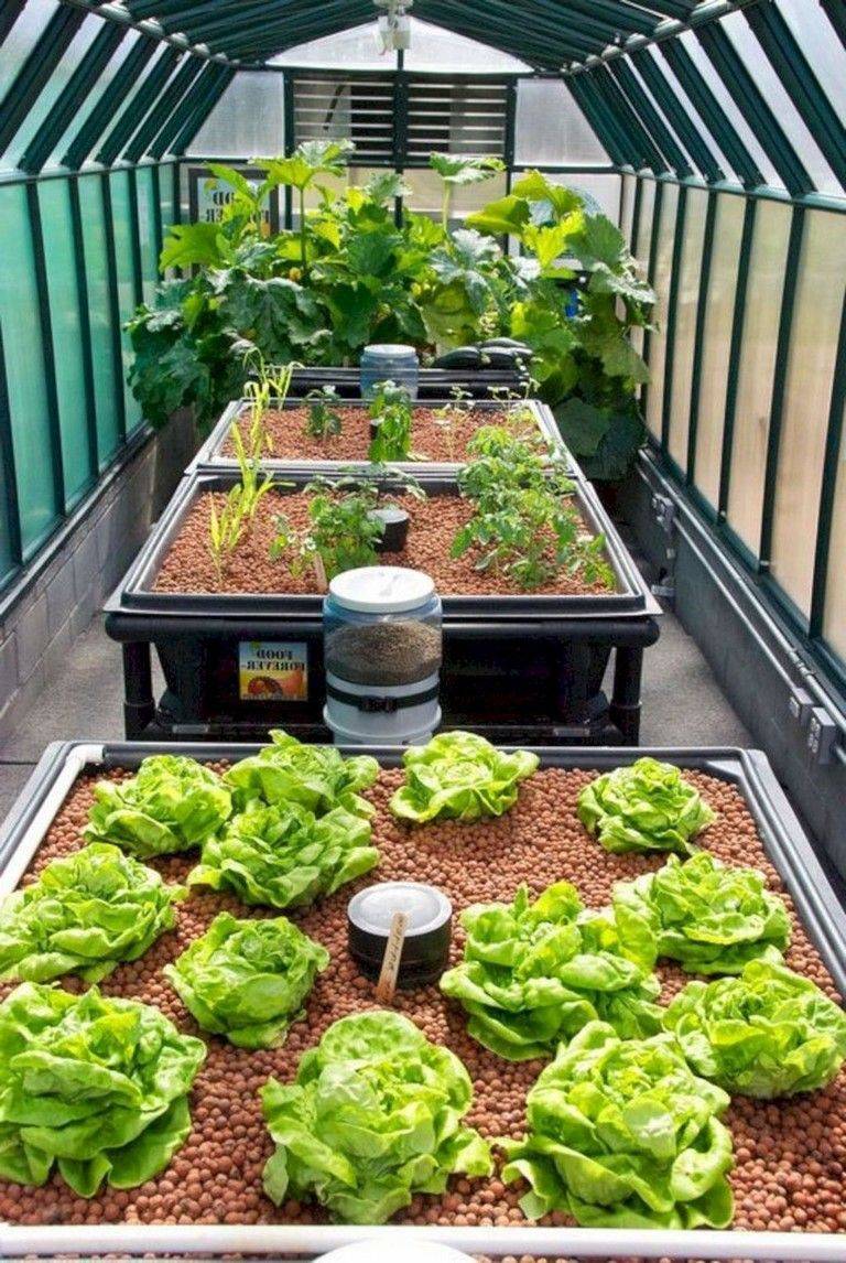 Hydroponic Gardening