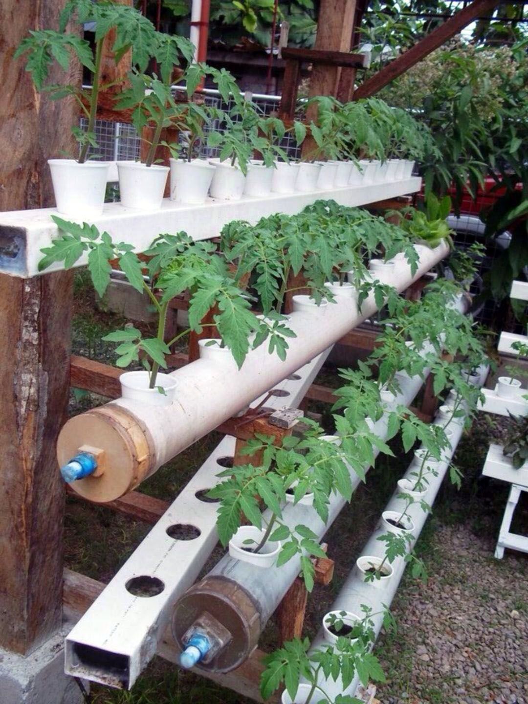Nice Top Hydroponic Garden Ideas