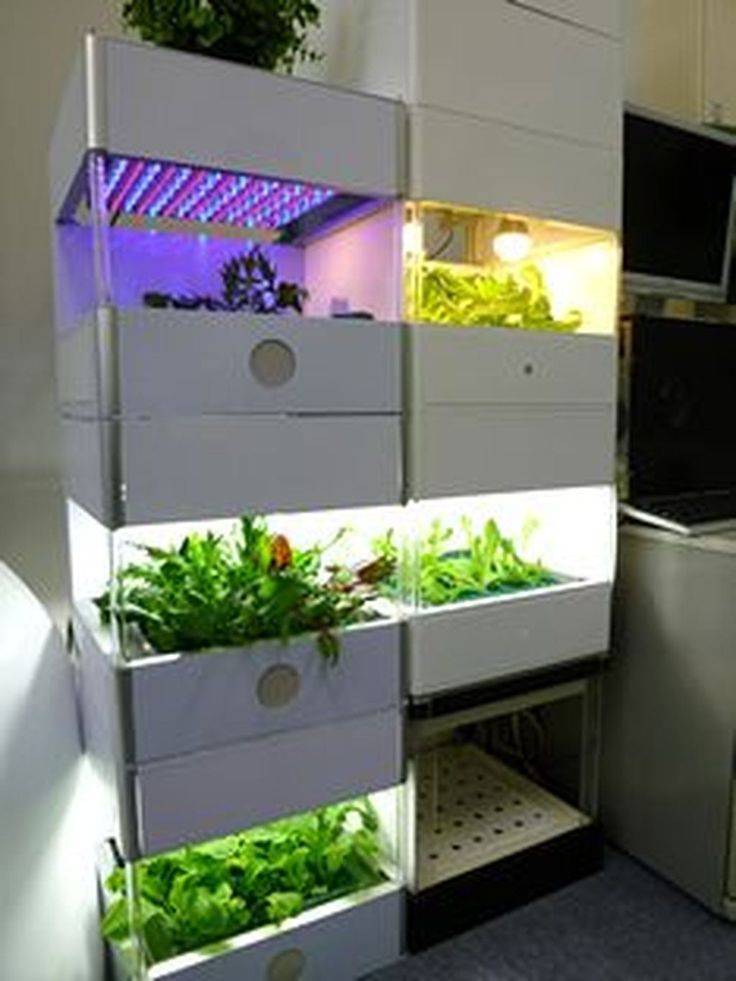 Awesome Indoor Hydroponic Wall Garden Design Ideas