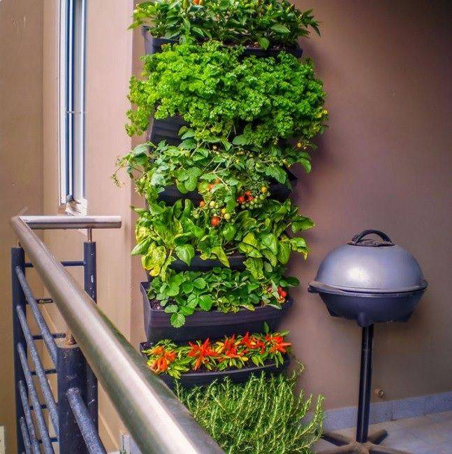 Awesome Indoor Hydroponic Wall Garden Design Ideas Hydroponic