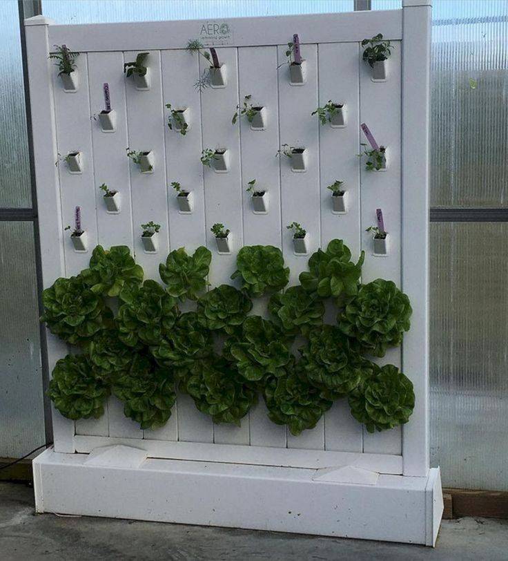 Vertical Hydroponics Gardening Ideas