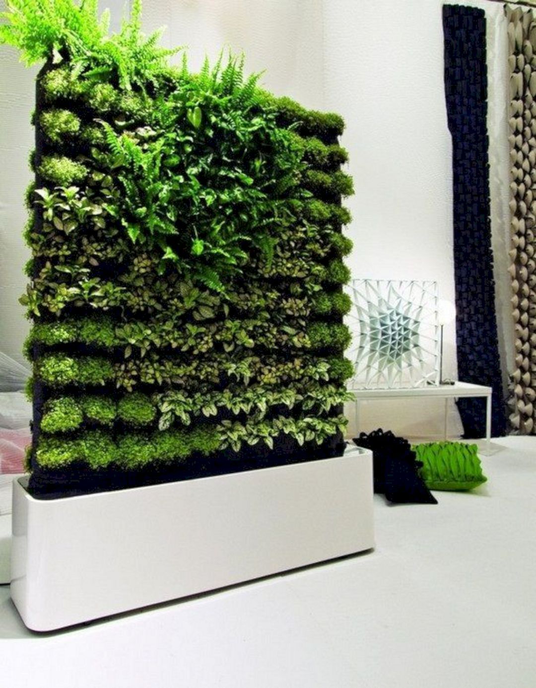 A Hydroponic Wall Garden