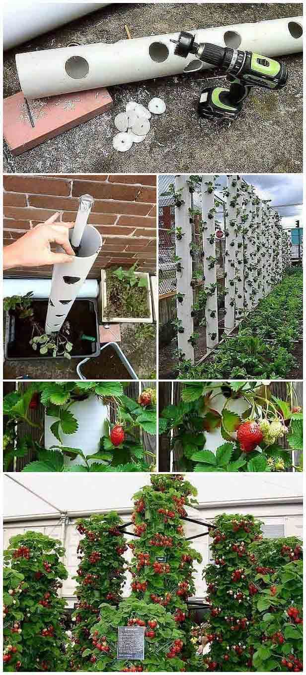 Hydroponic Design Ideas Awesome Indoor Hydroponic Wall Garden