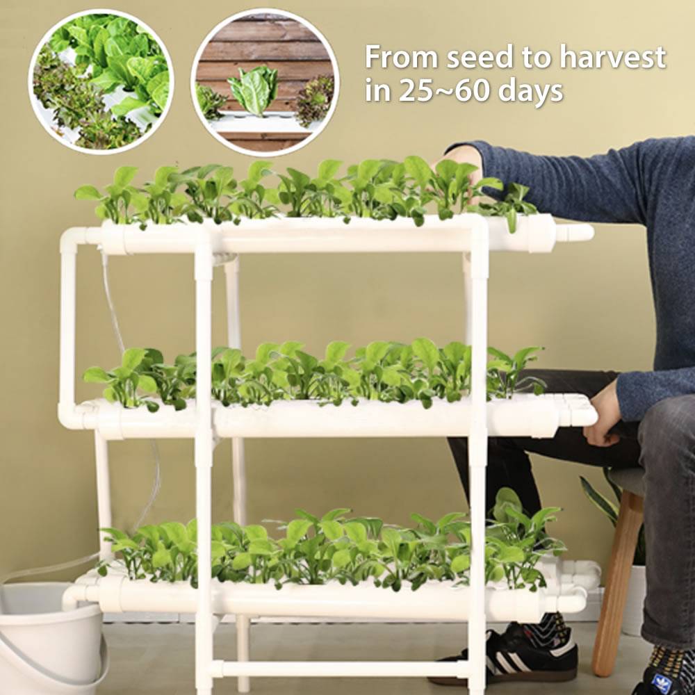 Best Indoor Hydroponic Grow Systems