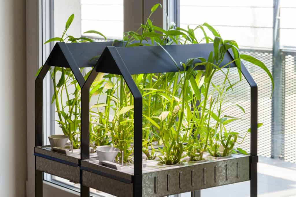 Amazing Hydroponic Systems