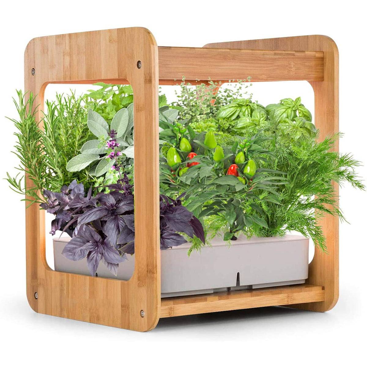 Home Hydroponic Kit