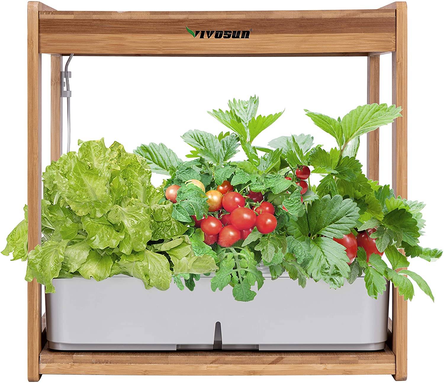 Hydroponic Starter Kit Indoor Gardening Yourhydroponicshop