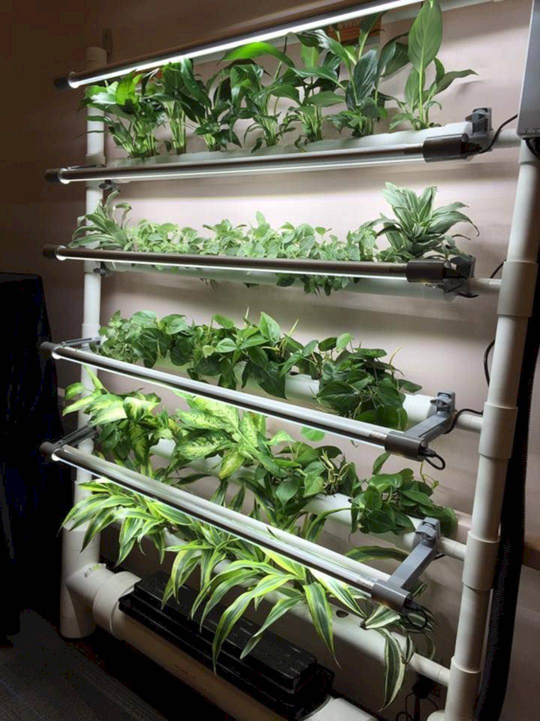Indoor Vegetable Gardening