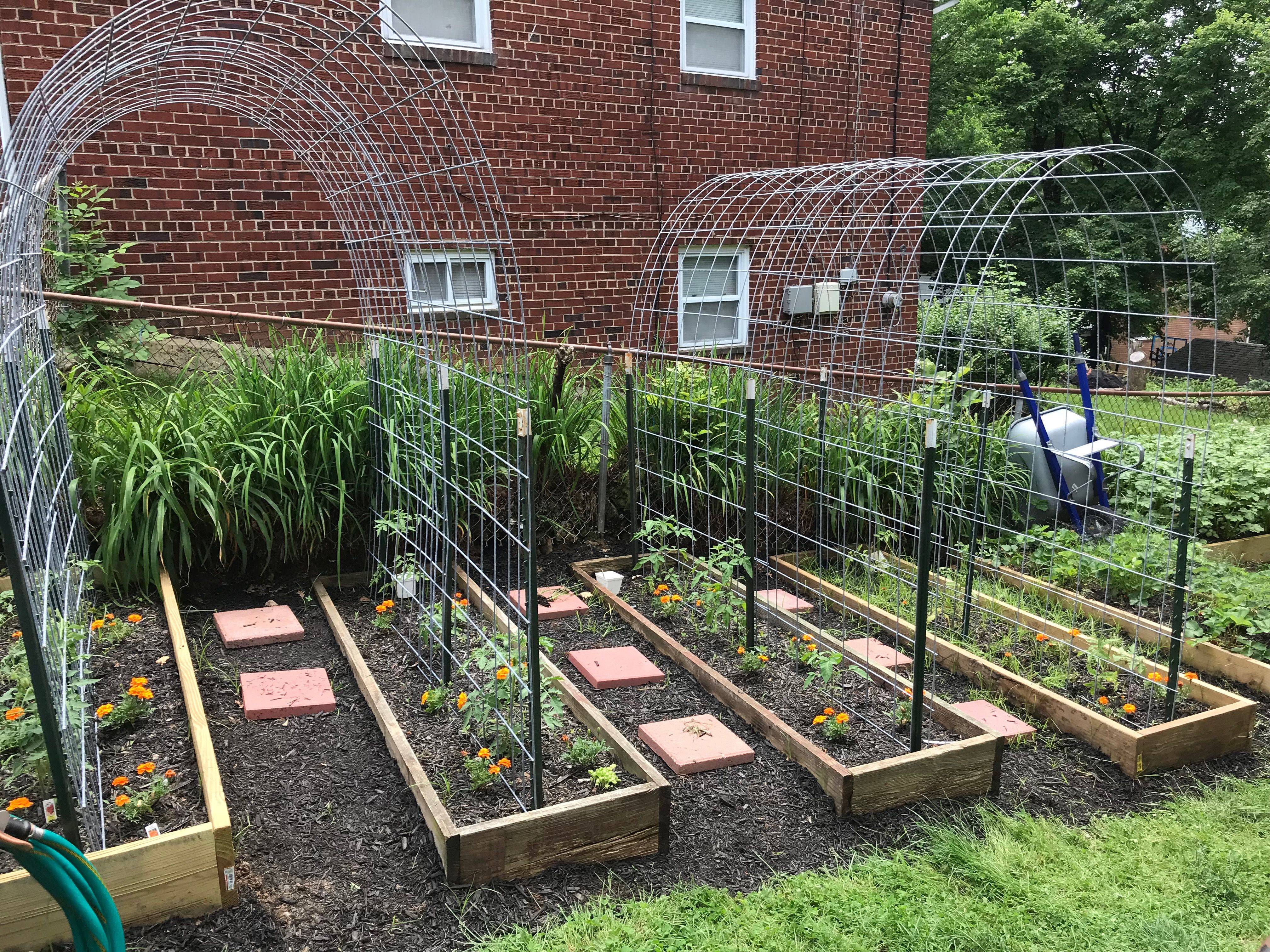 These Teepee Type Trellises