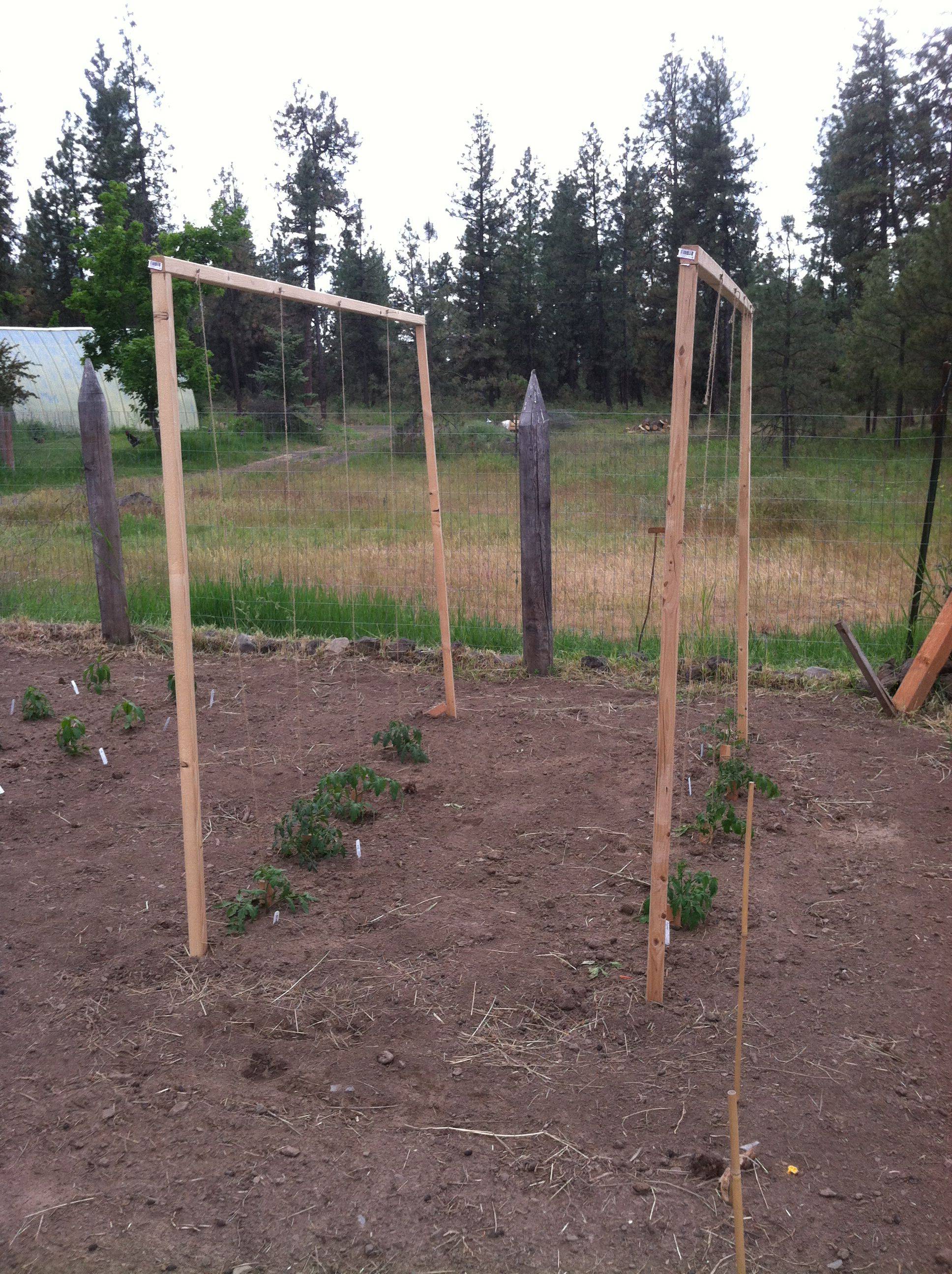 The Demo Garden Blog