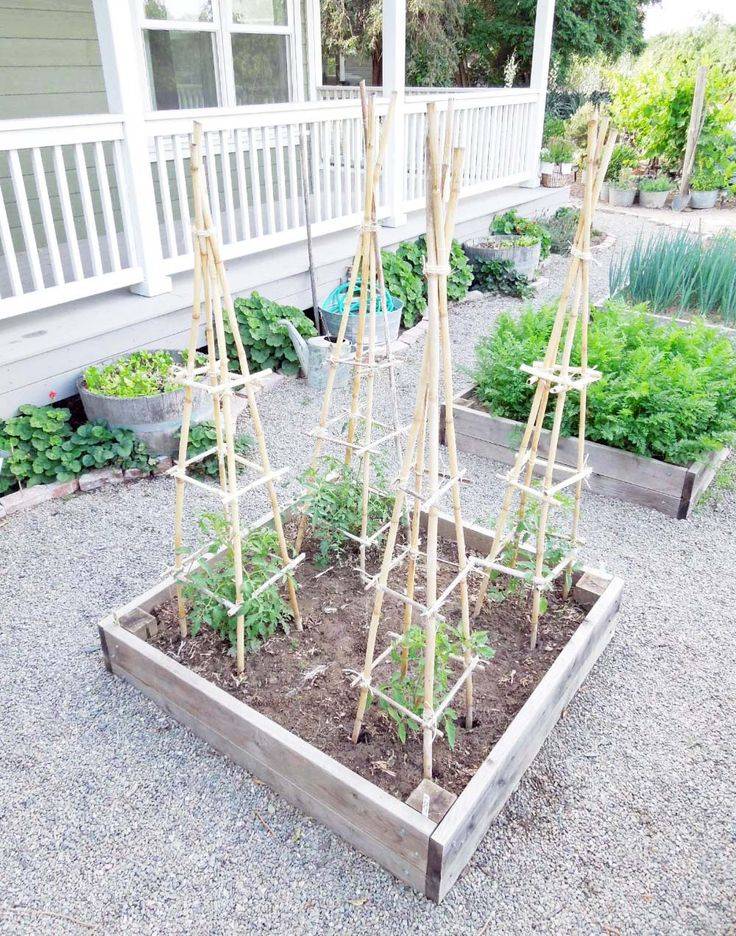 Vegetable Garden Trellis Ideas Simphome Vegetable Garden