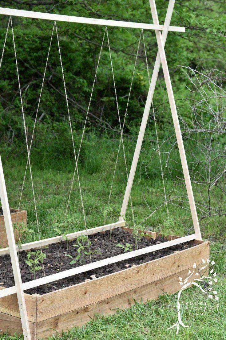 Best Tomato Trellis