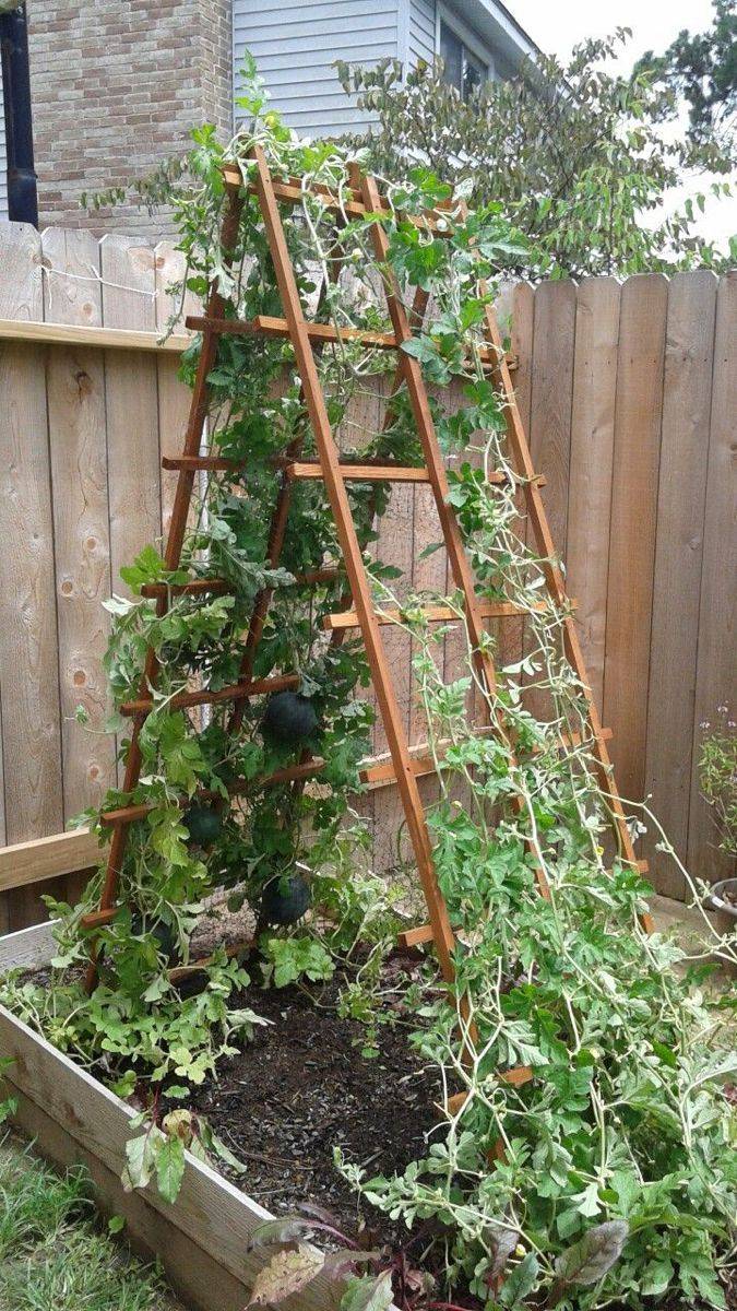 Creative Trellis Ideas Small Backyard