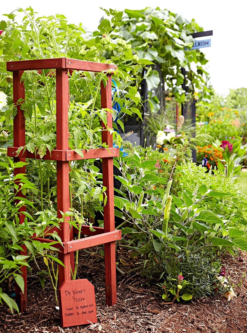 Amazing Diy Ideas