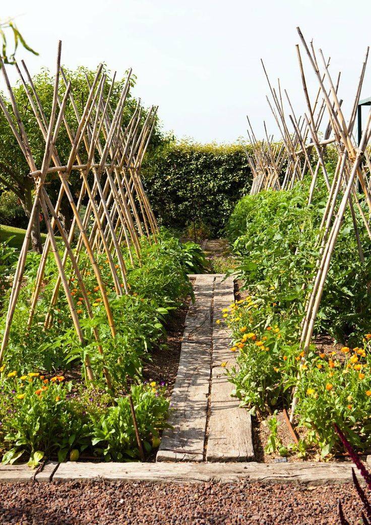 Kitchen Garden Trellis