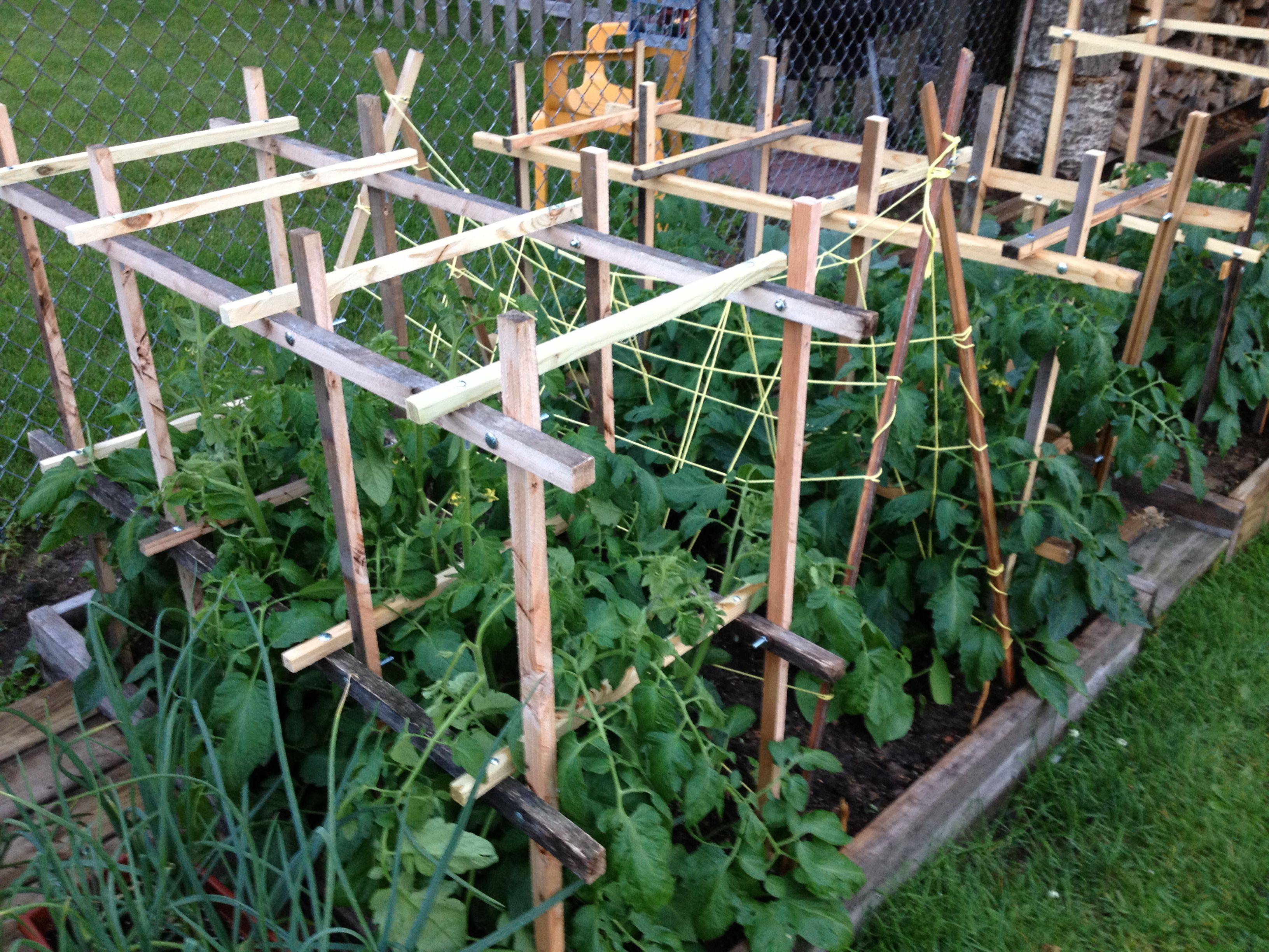 Diy Garden