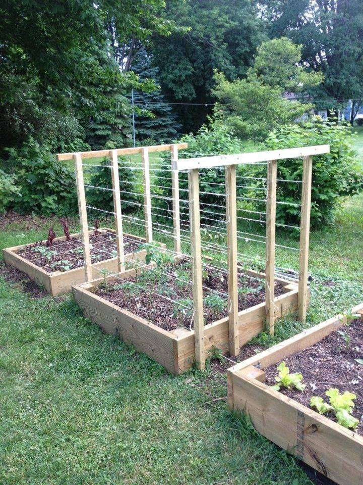 Your Tomatoes Tomato Trellis