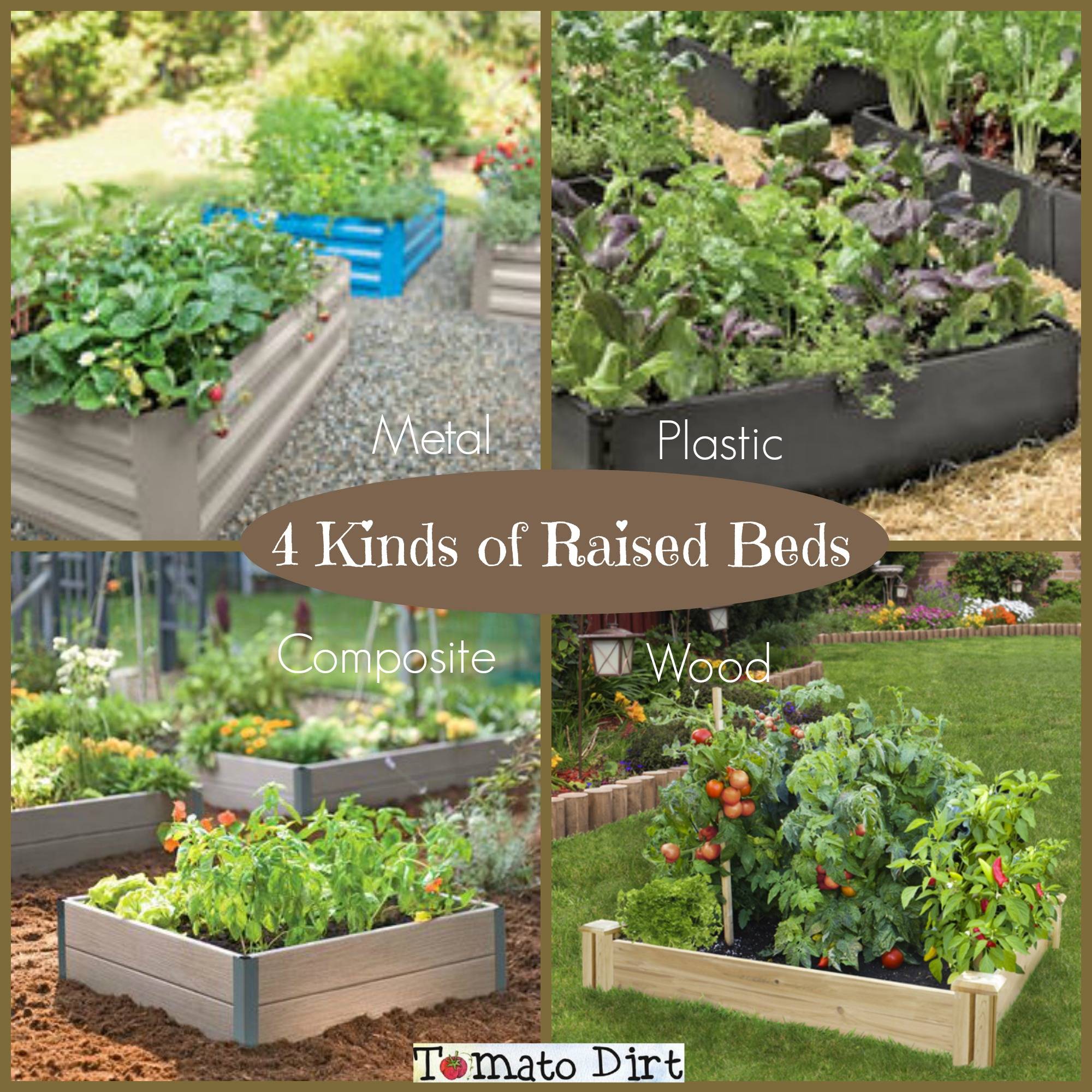 To Know Tomato Bible