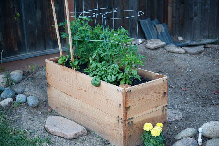 Raised Beds
