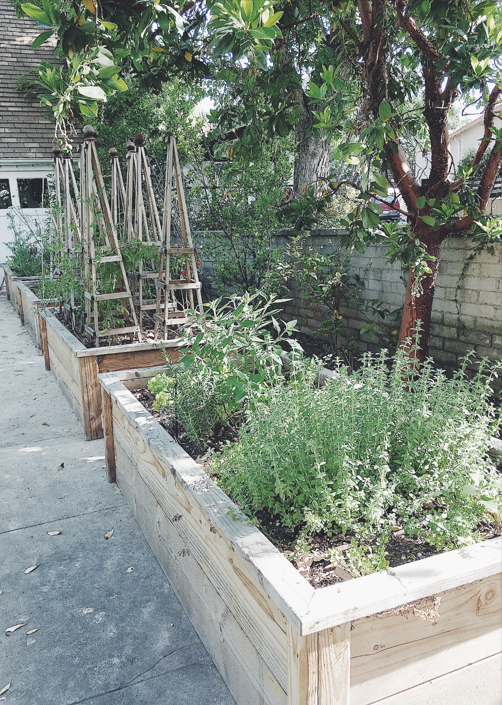 Creative And Inspiring Raised Bed Vegetable Garden Ideas