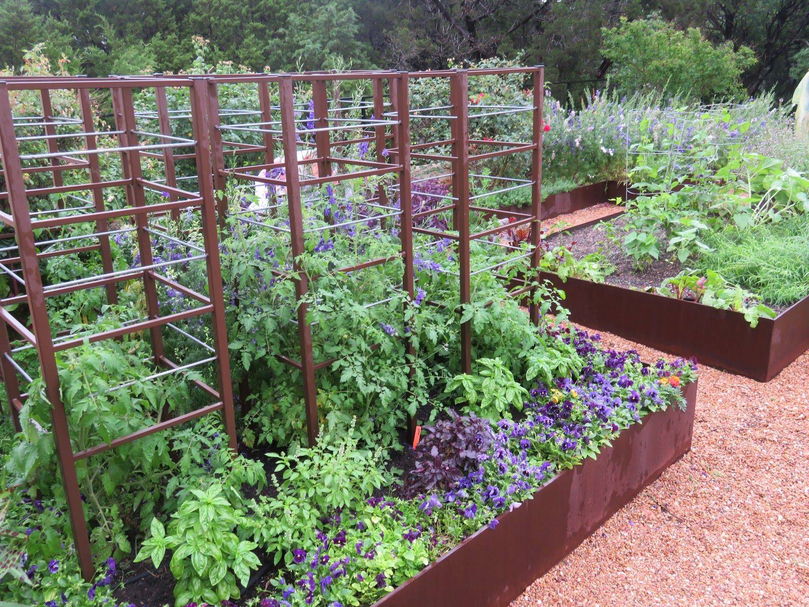 Vegetable Garden Layout Design