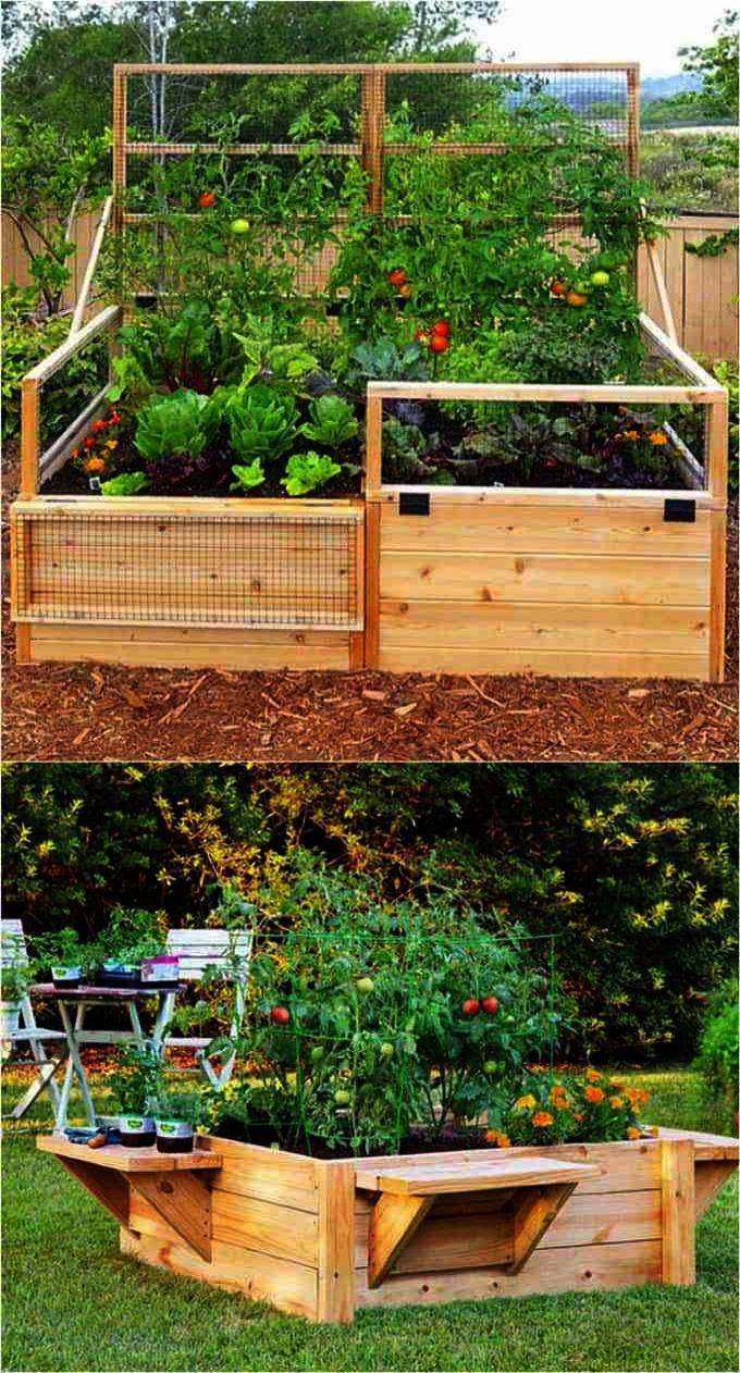 Tomato Trellis