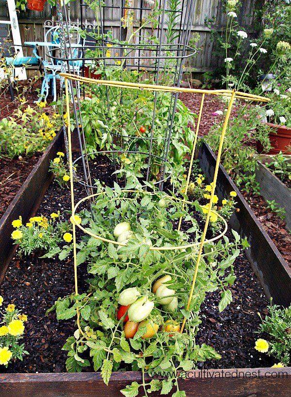 Your Raised Garden Bed